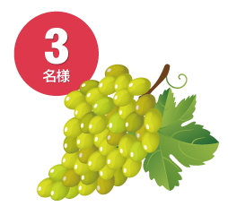 �V���C���}�X�J�b�g ������v 1�s�i3���j