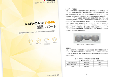 KZR－CAD ピーク製品レポート