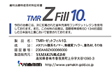 Z Fill 10.i[bgtB10.j